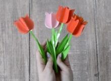 Tulipany 3D