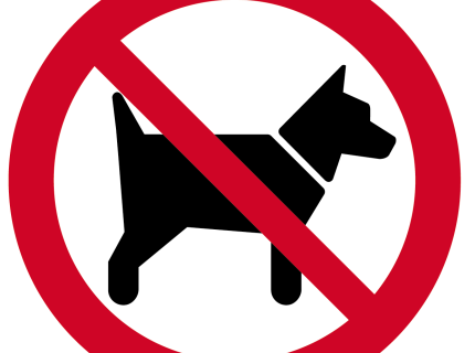 Zakaz wstępu ze zwierzętami